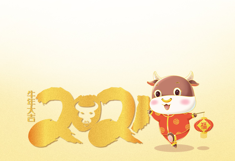 2021舉辦元旦晚會的心得體會6篇最新