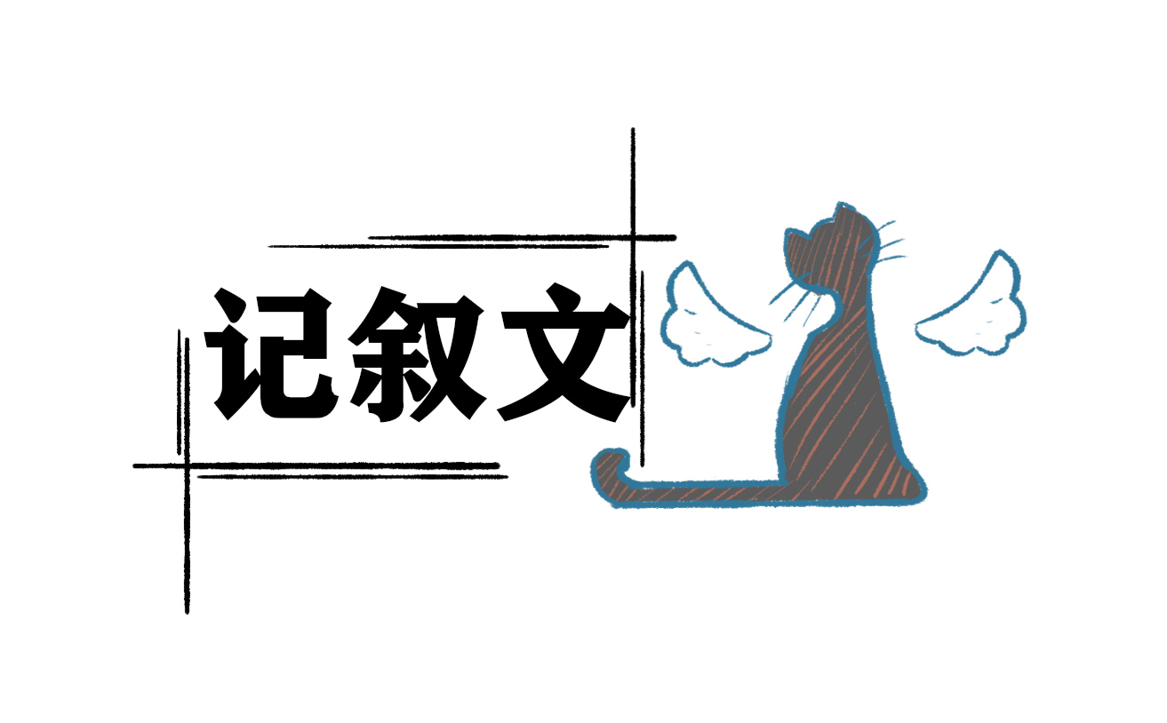尊重生命記敘文800字作文