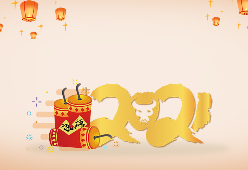 2021年慶祝牛年元旦的一天學(xué)生作文600字五篇大全
